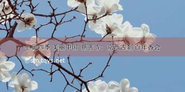 心灵四季 美丽中国｜慈善寺：京西古刹 百年香会