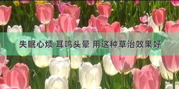 失眠心烦 耳鸣头晕 用这种草治效果好