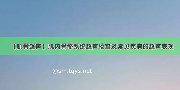 【肌骨超声】肌肉骨骼系统超声检查及常见疾病的超声表现