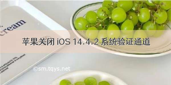 苹果关闭 iOS 14.4.2 系统验证通道