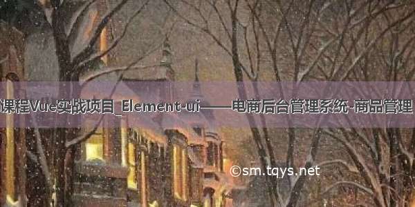 黑马程序员课程Vue实战项目_Element-ui——电商后台管理系统-商品管理（分类参数）