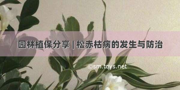 园林植保分享 | 松赤枯病的发生与防治