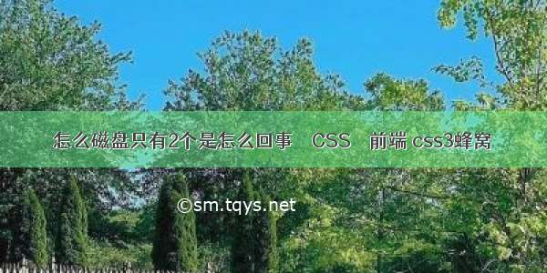 怎么磁盘只有2个是怎么回事 – CSS – 前端 css3蜂窝