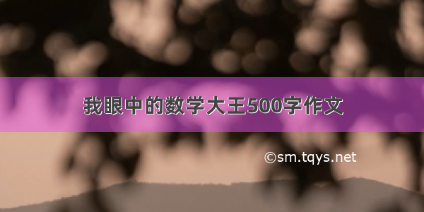 我眼中的数学大王500字作文