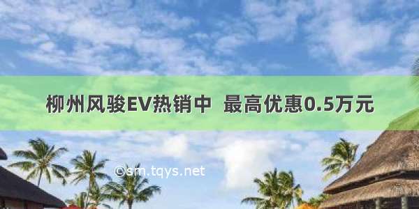 柳州风骏EV热销中  最高优惠0.5万元