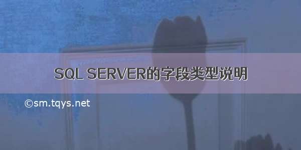 SQL SERVER的字段类型说明