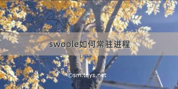 swoole如何常驻进程