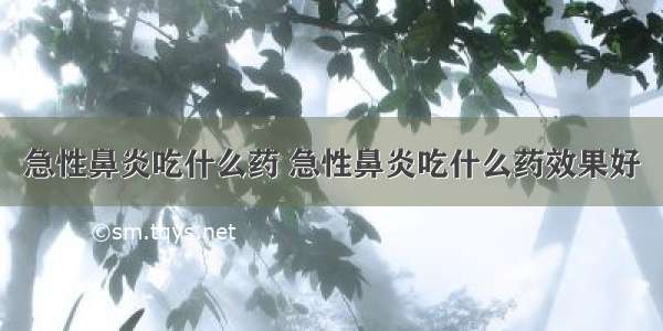 急性鼻炎吃什么药 急性鼻炎吃什么药效果好