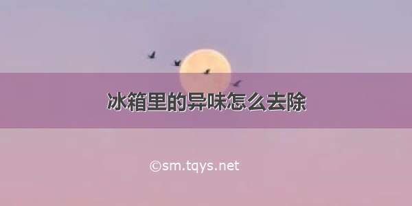 冰箱里的异味怎么去除