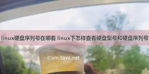 linux硬盘序列号在哪看 linux下怎样查看硬盘型号和硬盘序列号