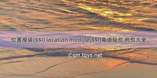 位置模块(SSI) location module(SSI)英语短句 例句大全