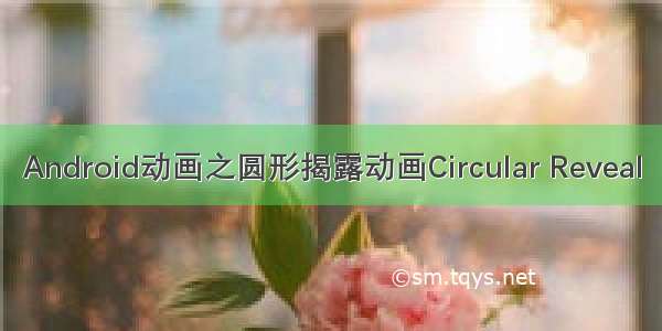 Android动画之圆形揭露动画Circular Reveal