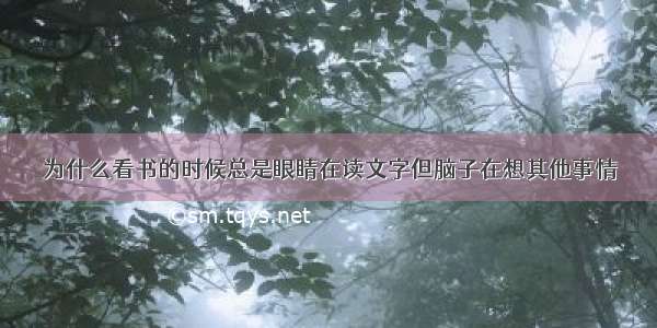 为什么看书的时候总是眼睛在读文字但脑子在想其他事情