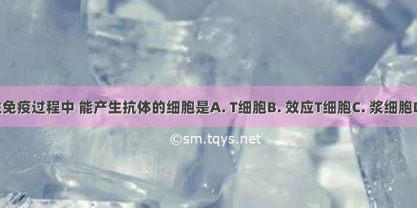 在特异性免疫过程中 能产生抗体的细胞是A. T细胞B. 效应T细胞C. 浆细胞D. 红细胞