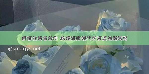 供销社跨省合作 构建海南现代农资流通新网络