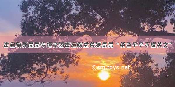 霍启刚郭晶晶传婚变因霍启刚堂弟嫌晶晶“姿色平平不懂英文”