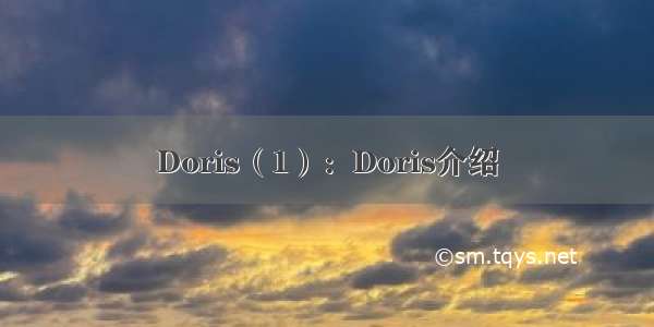 Doris（1）：Doris介绍