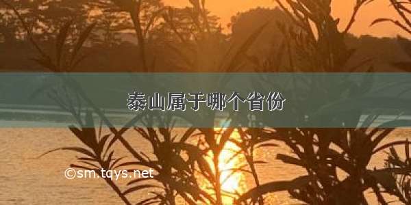 泰山属于哪个省份