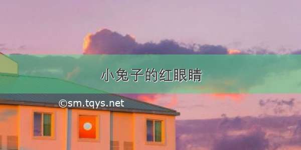 小兔子的红眼睛