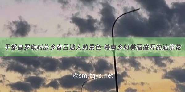 于都县罗坳村故乡春日迷人的景色 赣南乡村美丽盛开的油菜花