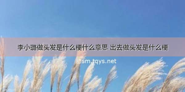 李小璐做头发是什么梗什么意思 出去做头发是什么梗