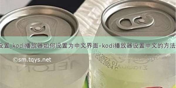 kodi没有中文设置_kodi播放器如何设置为中文界面-kodi播放器设置中文的方法 - 河东软件园...