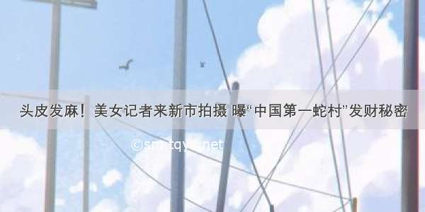 头皮发麻！美女记者来新市拍摄 曝“中国第一蛇村”发财秘密