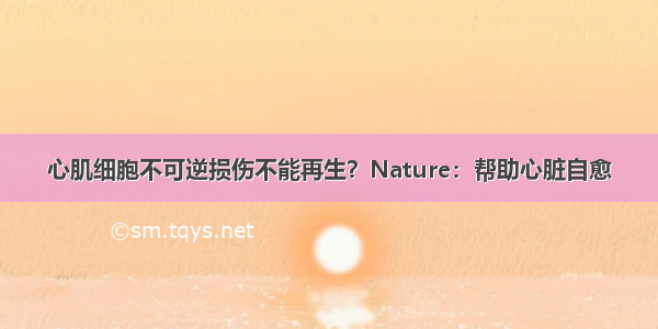 心肌细胞不可逆损伤不能再生？Nature：帮助心脏自愈