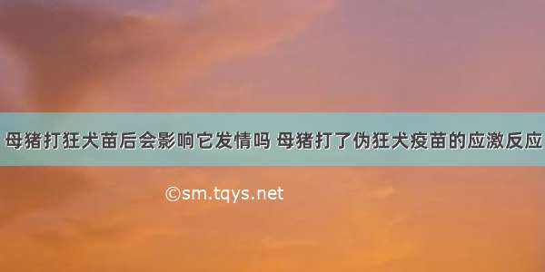 母猪打狂犬苗后会影响它发情吗 母猪打了伪狂犬疫苗的应激反应