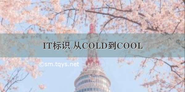 IT标识 从COLD到COOL