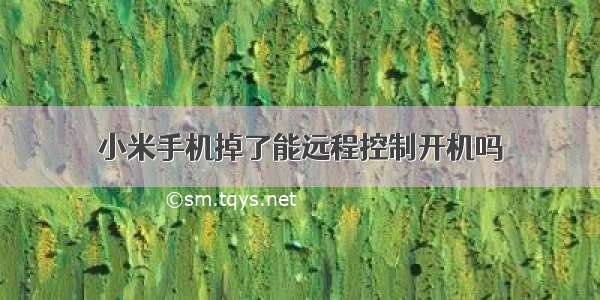 小米手机掉了能远程控制开机吗