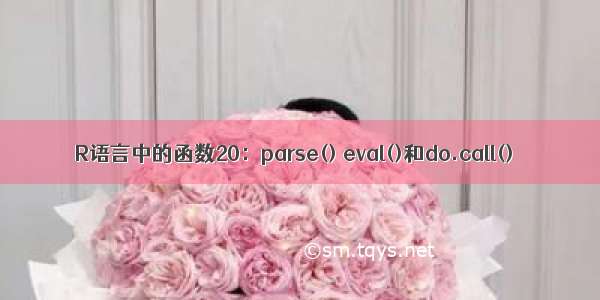 R语言中的函数20：parse() eval()和do.call()