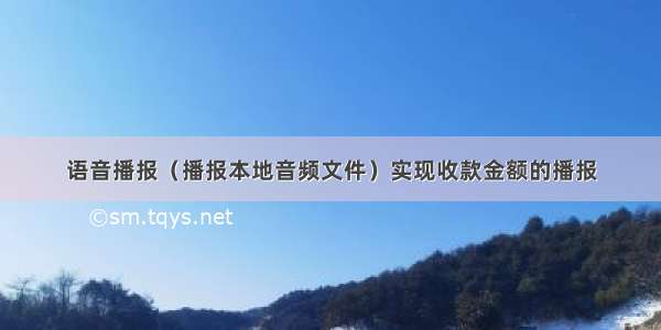 语音播报（播报本地音频文件）实现收款金额的播报