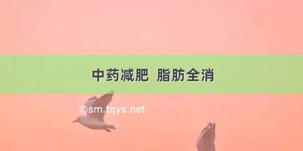 中药减肥  脂肪全消