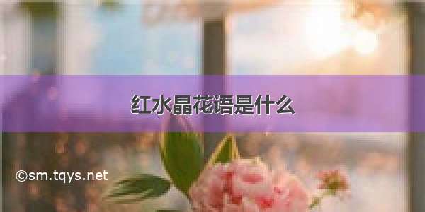 红水晶花语是什么