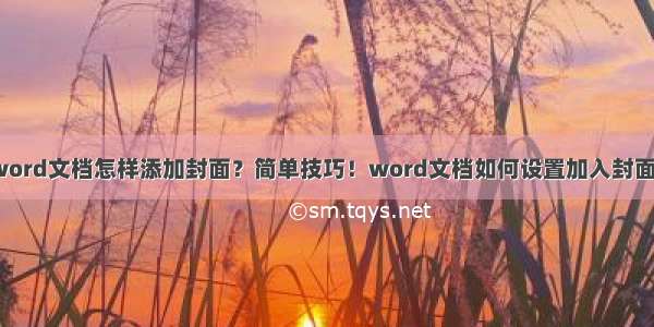 word文档怎样添加封面？简单技巧！word文档如何设置加入封面？