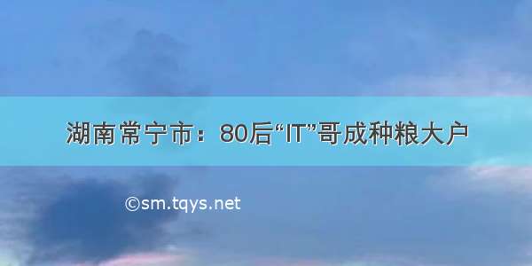 湖南常宁市：80后“IT”哥成种粮大户