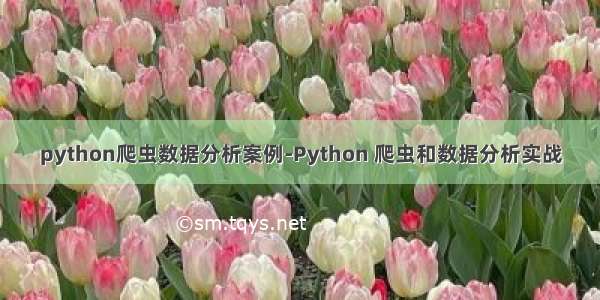 python爬虫数据分析案例-Python 爬虫和数据分析实战