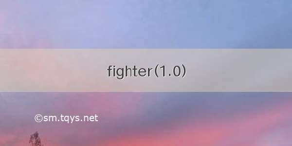 fighter(1.0)