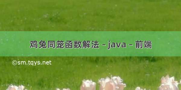 鸡兔同笼函数解法 – java – 前端