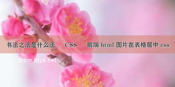 书法之法是什么法 – CSS – 前端 html 图片在表格居中 css