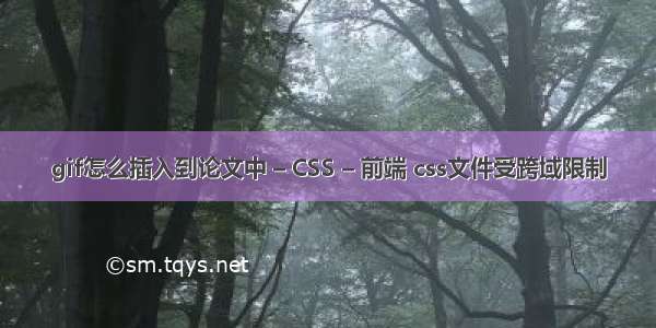 gif怎么插入到论文中 – CSS – 前端 css文件受跨域限制