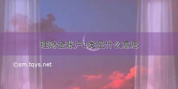 理财金账户1类是什么意思