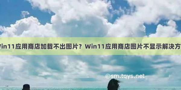 Win11应用商店加载不出图片？Win11应用商店图片不显示解决方法