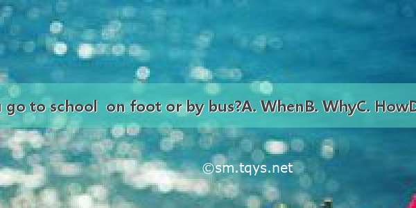 do you go to school  on foot or by bus?A. WhenB. WhyC. HowD. What