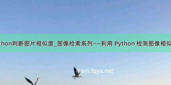 python判断图片相似度_图像检索系列——利用 Python 检测图像相似度！