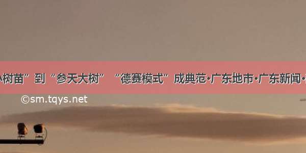 从“小树苗”到“参天大树”“德赛模式”成典范·广东地市·广东新闻·南方网