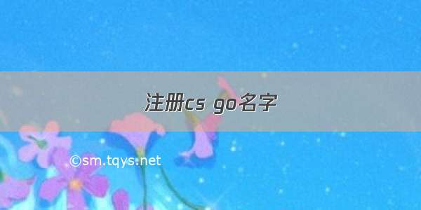 注册cs go名字