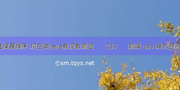 css选择器排序 现在学java有没有前途 – CSS – 前端 css 样式显示字符