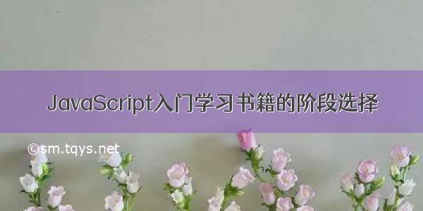 JavaScript入门学习书籍的阶段选择